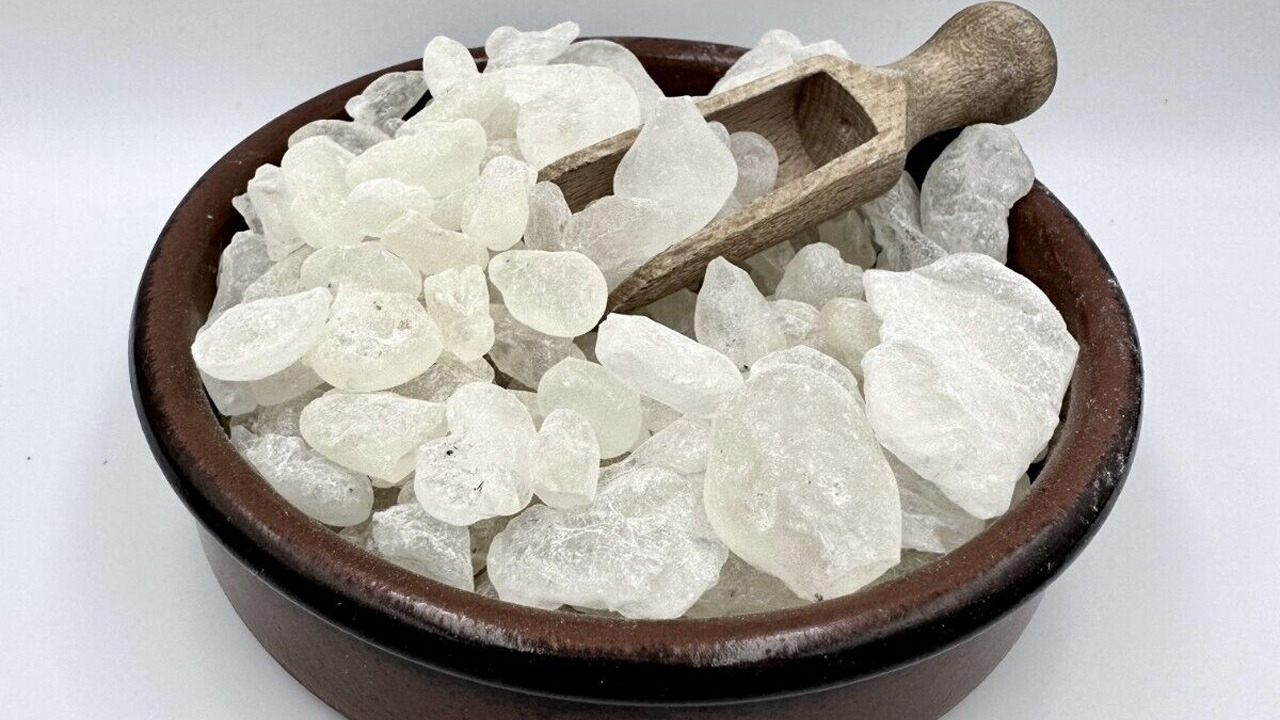 Permen Karet Damar Chios.